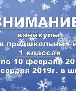 КАНИКУЛЫ