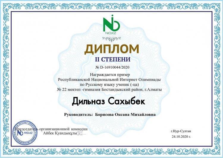 Республиканская Национальная Интернет Олимипиада